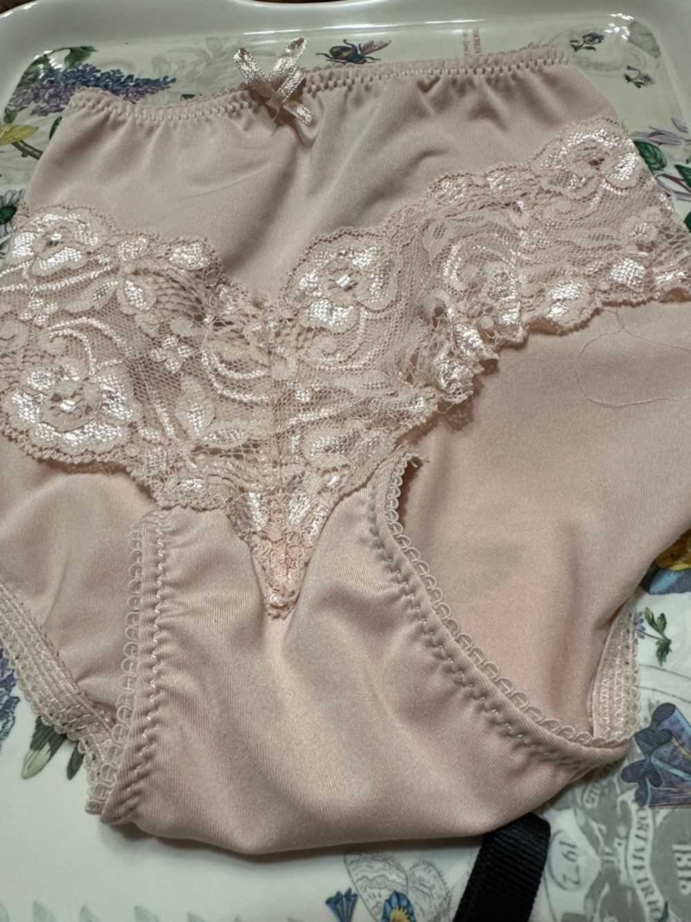 Marilyn Monroe Blush Lace-Trim Bikini Panty